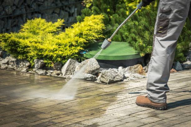 Best Fence Cleaning  in Bear Creek, AK