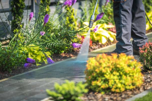 Best Parking Lot and Garage Cleaning  in Bear Creek, AK