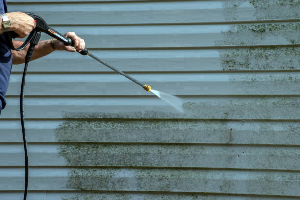 Best Gutter Cleaning  in Bear Creek, AK